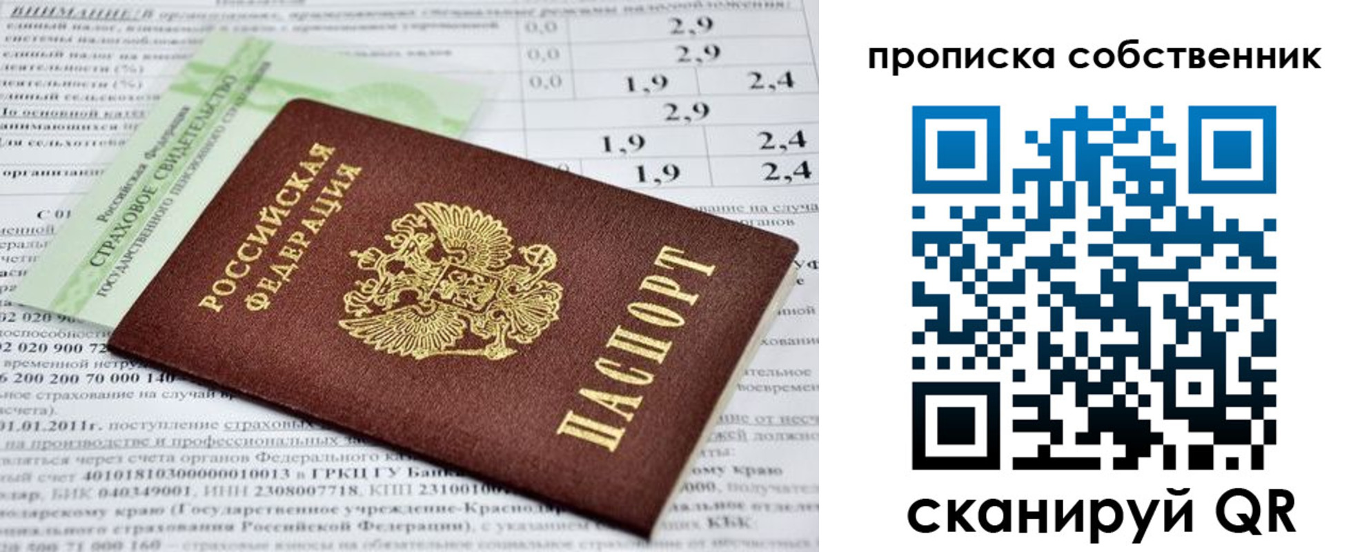прописка 2025 в Тимашёвске